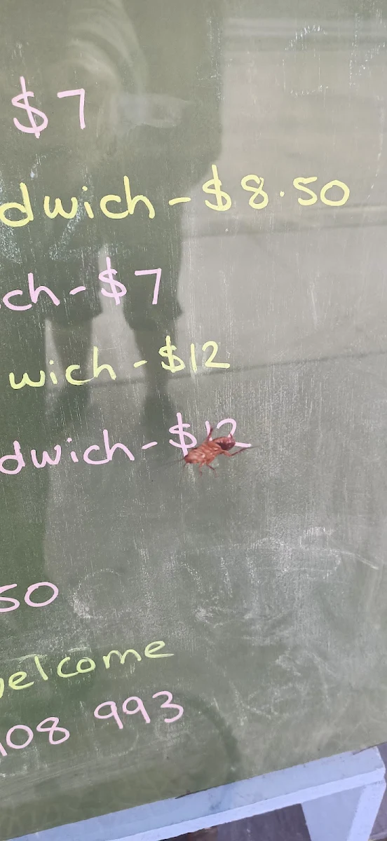 Menu, Maitland Tuckerbox