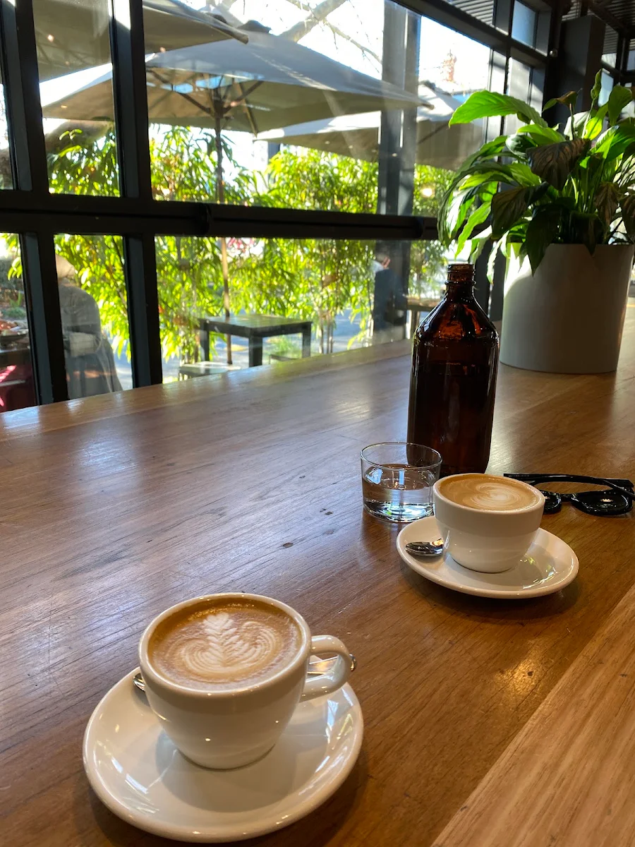 Food & drink, Top Paddock Cafe