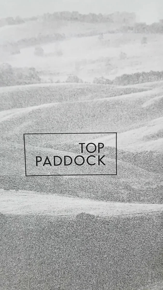Vibe, Top Paddock Cafe