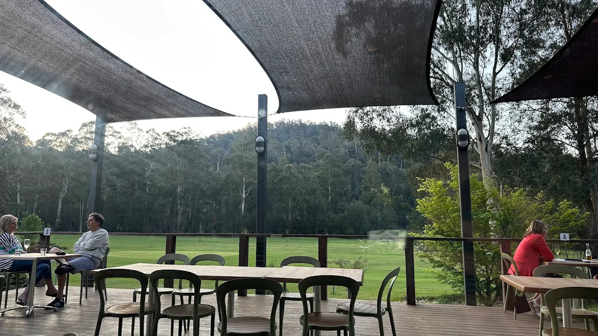 Vibe, The Pavilion Bar and Grill Marysville
