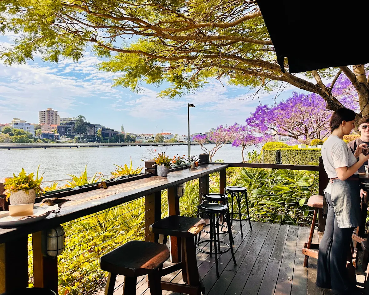 Vibe, Medley | Kangaroo Point