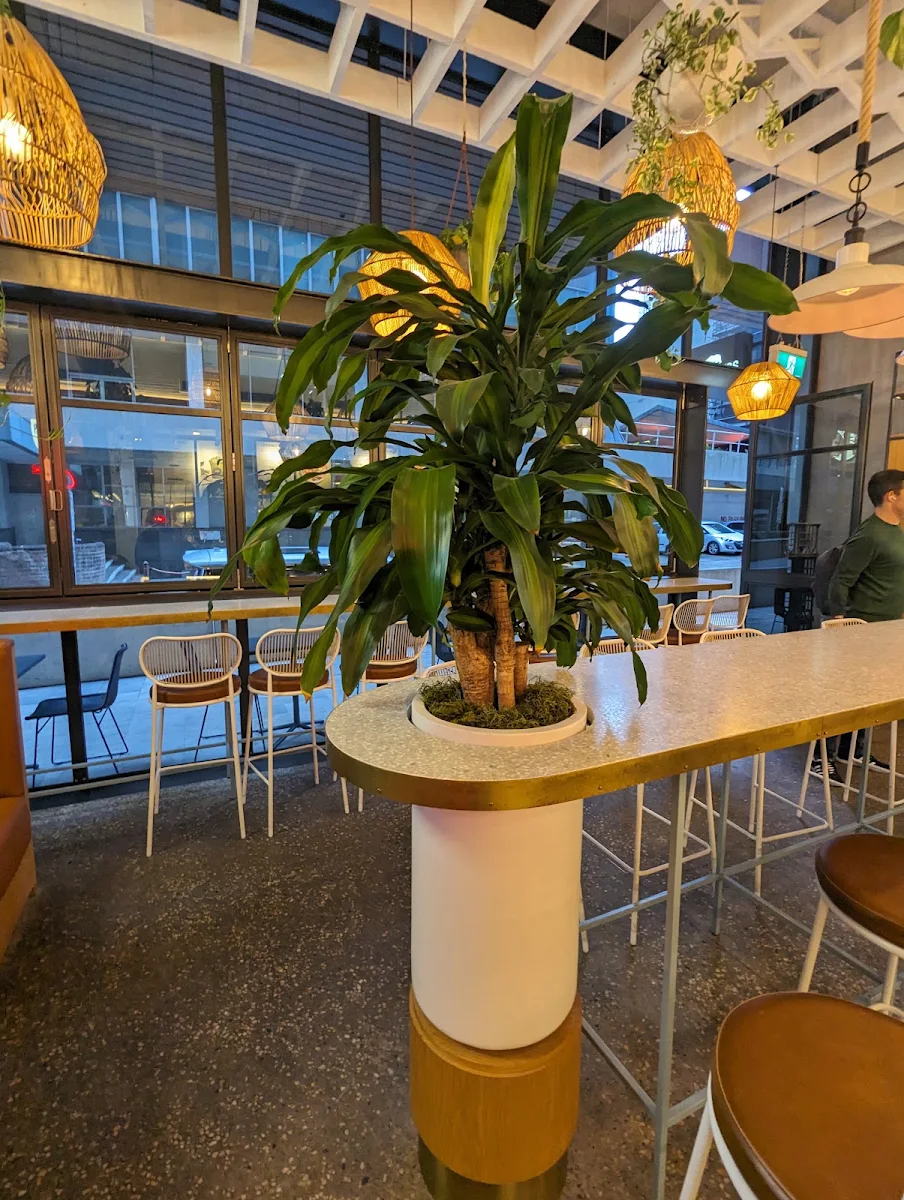 Vibe, Cali Press 1 Denison (North Sydney)