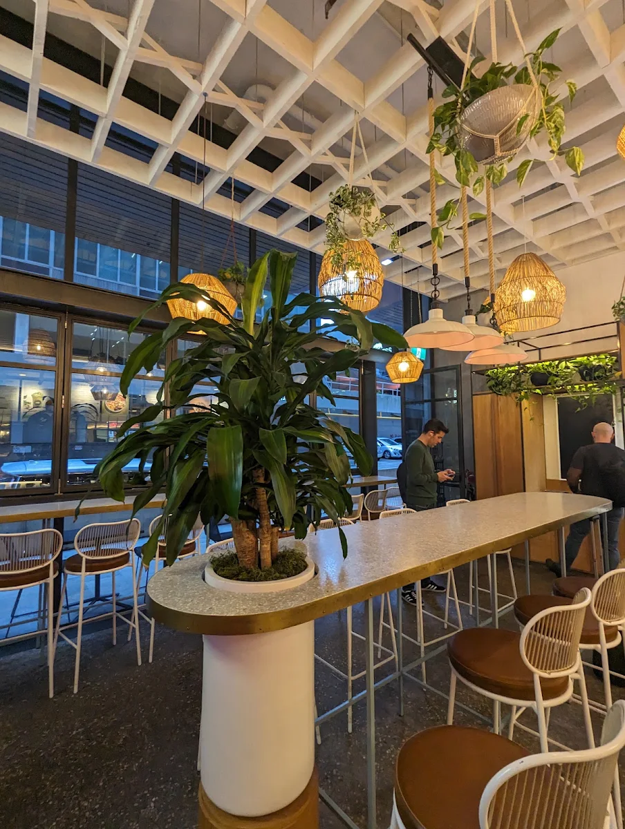 Vibe, Cali Press 1 Denison (North Sydney)