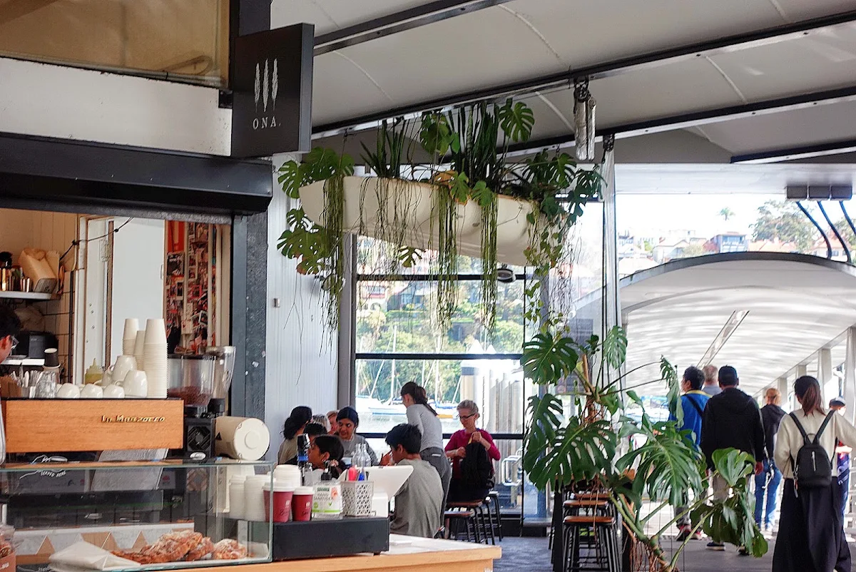Vibe, Cafe Monstera