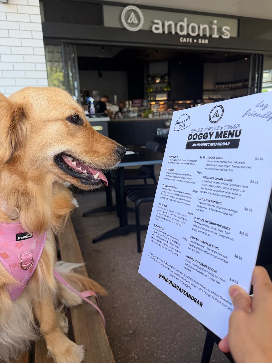 Menu, Andonis Cafe & Bar, Upper Coomera