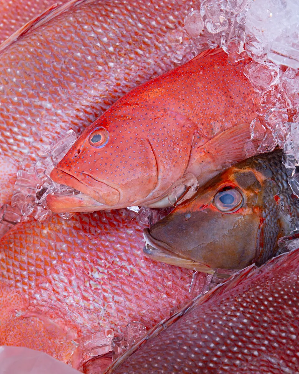 Food & drink, Innisfail Seafood