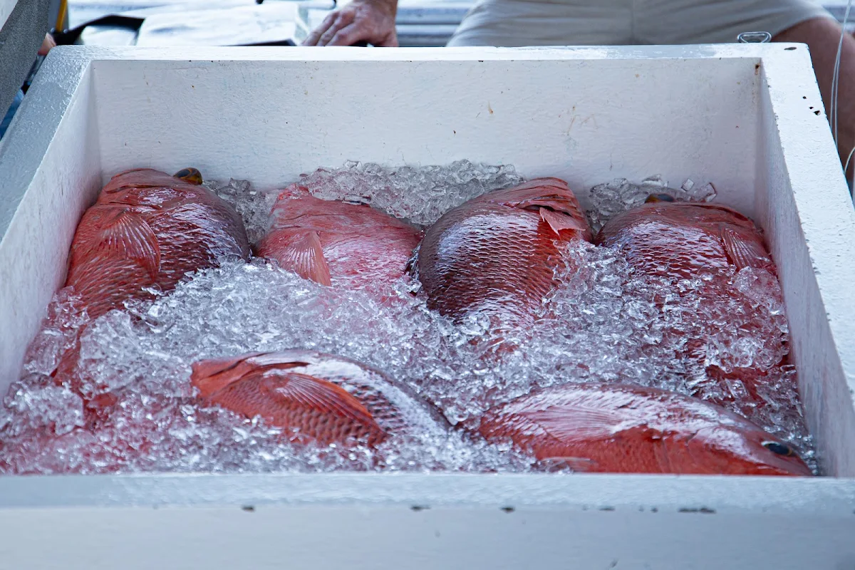 Food & drink, Innisfail Seafood