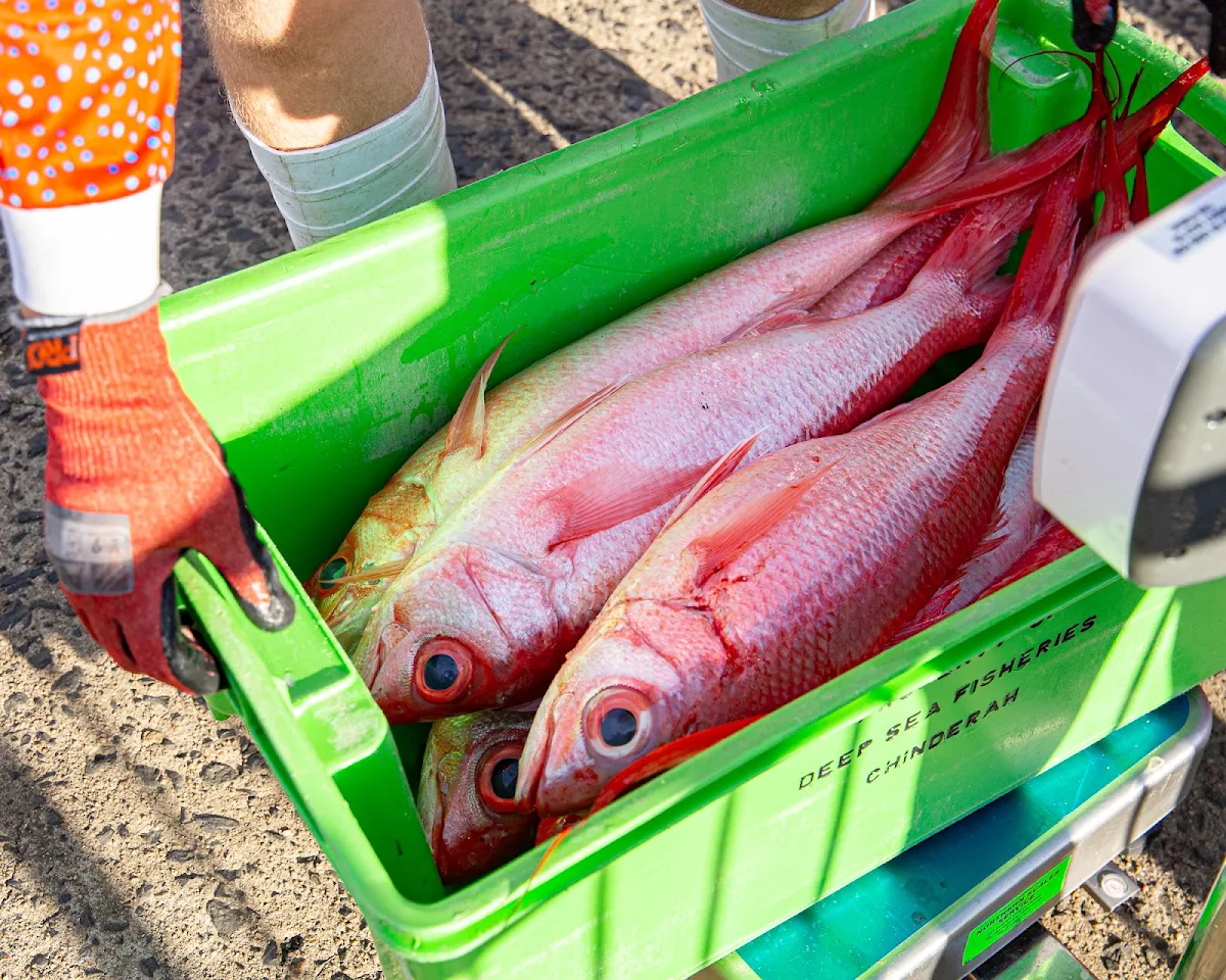 Food & drink, Innisfail Seafood
