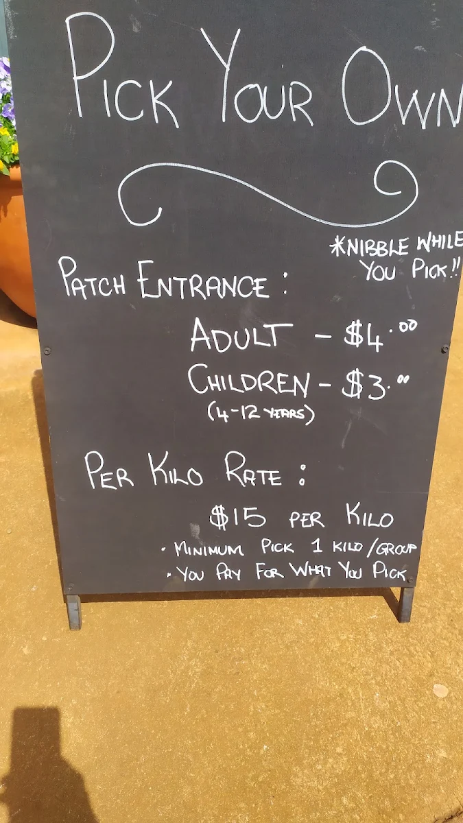 Menu, Berry Berry Bundaberg