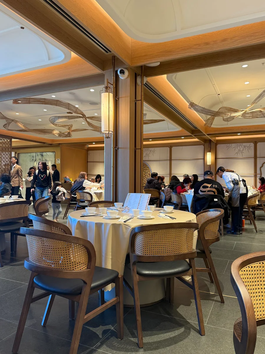 Vibe, The Panda Yum Cha Chadstone