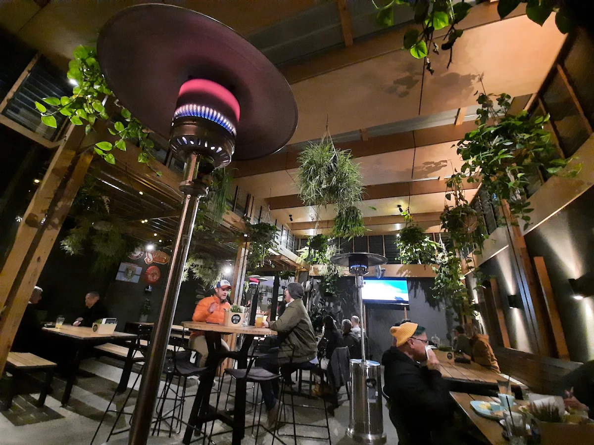 Vibe, Terminus Hotel Fitzroy North