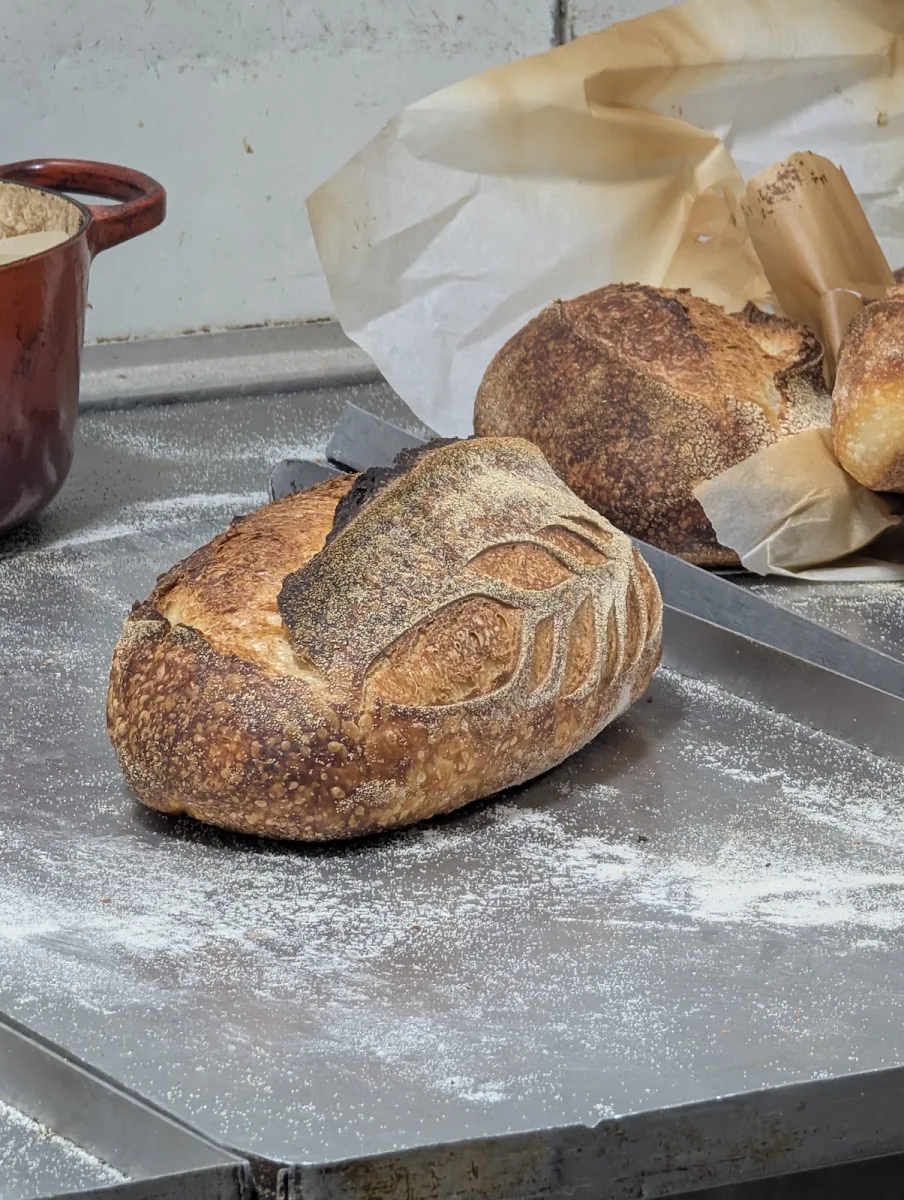Food & drink, Bourke Street Bakery Banksmeadow