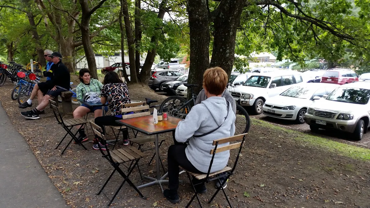 Vibe, Cog Bikes & Brew Cafe