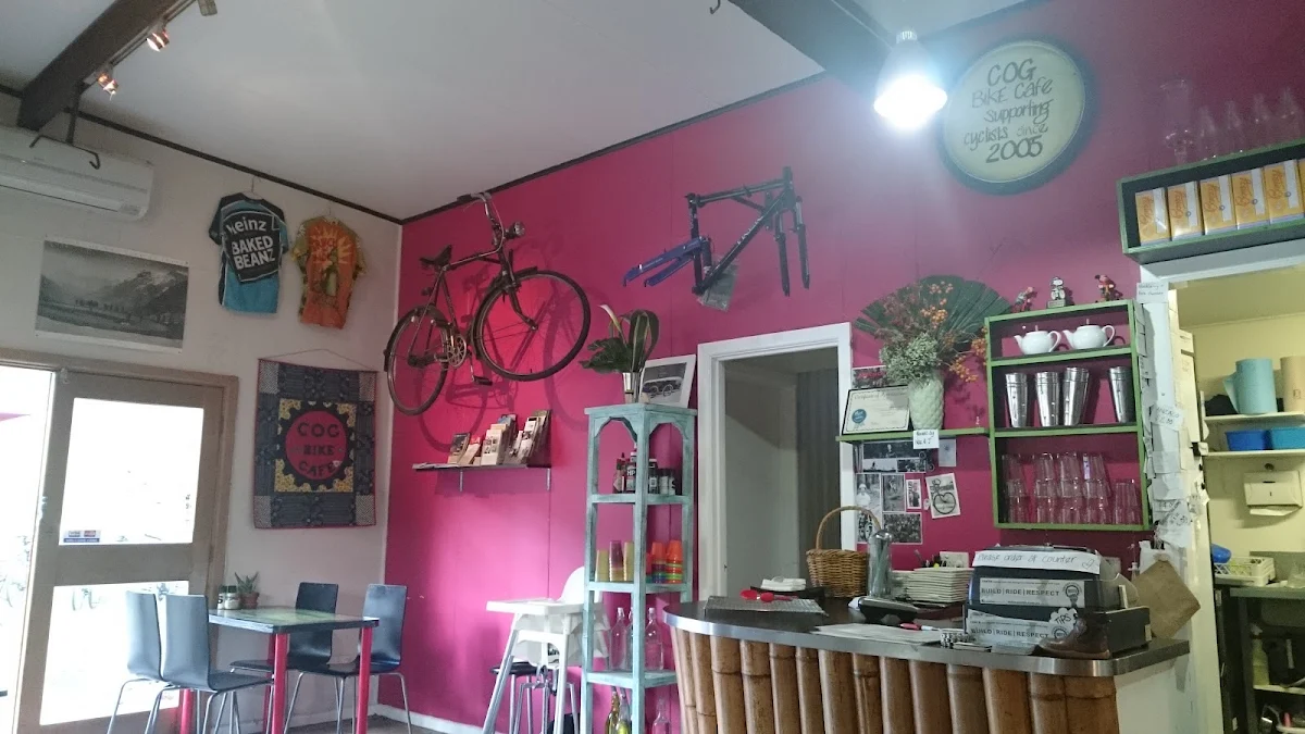 Vibe, Cog Bikes & Brew Cafe