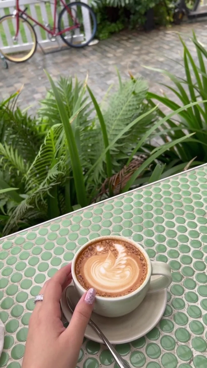 Vibe, Picnic Cafe