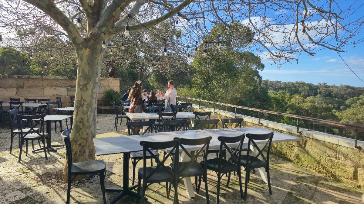Vibe, Wise Eagle Bay Restaurant