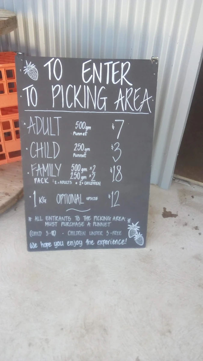 Menu, Fusion