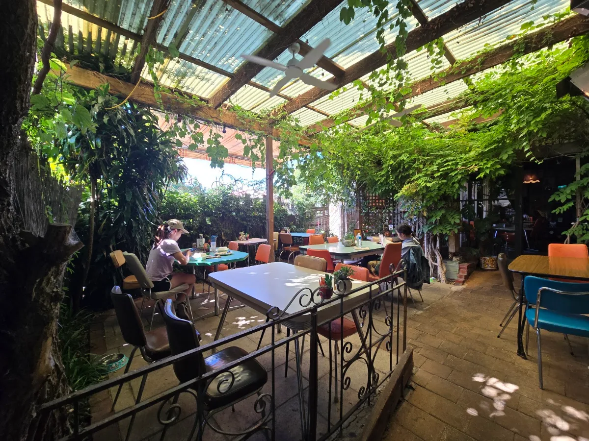 Vibe, Café Komodo