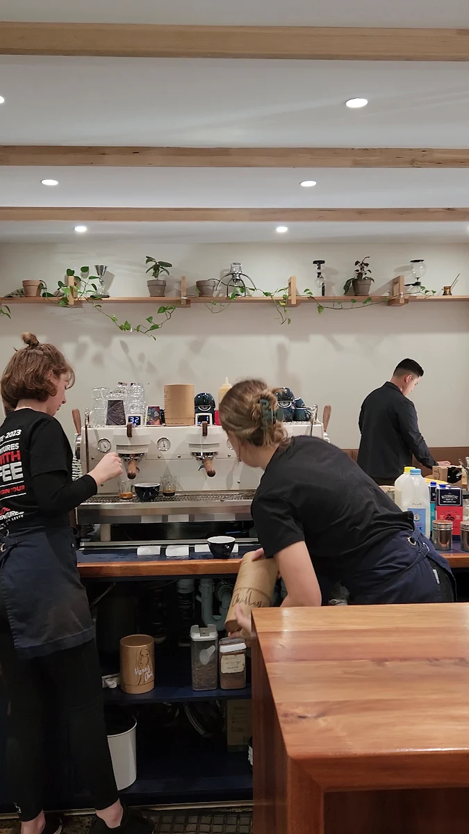 Vibe, Silva Coffee Roasters