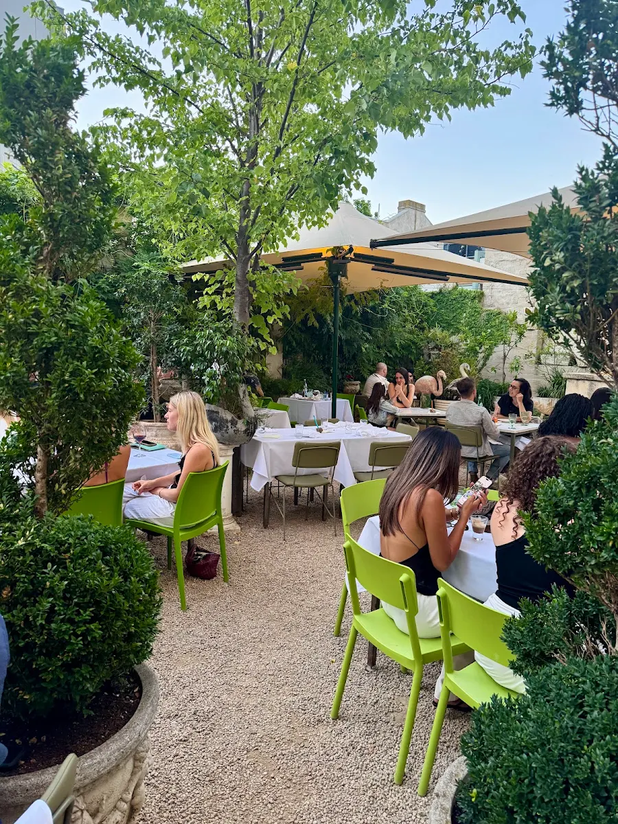 Vibe, Di Stasio Carlton