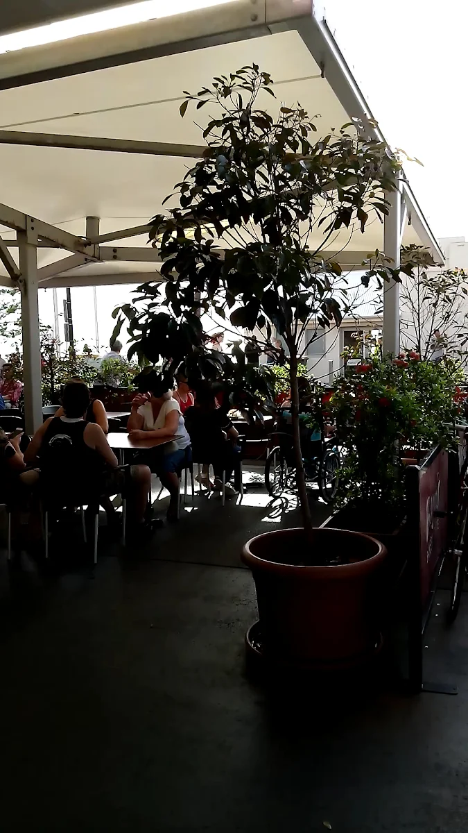 Vibe, Banjo’s Bakery Café – Redcliffe