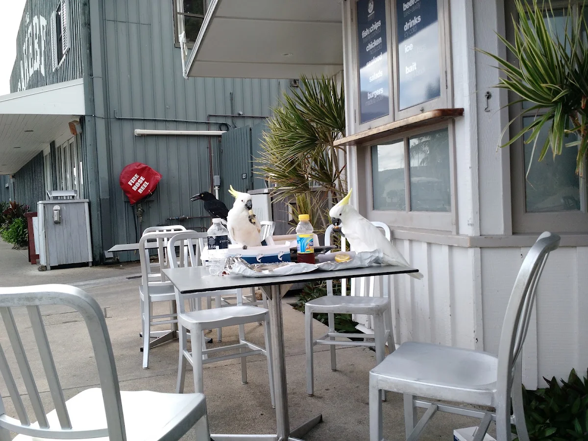 Vibe, Popeye's Fish and Chips Takeaway