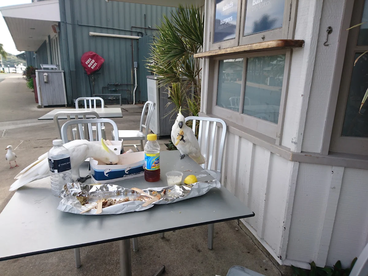 Vibe, Popeye's Fish and Chips Takeaway