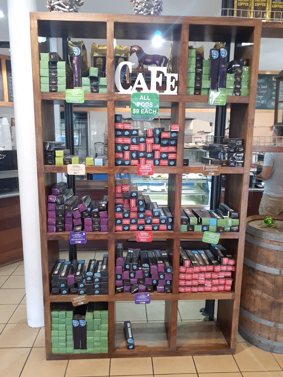 Vibe, Wildhorse Coffee
