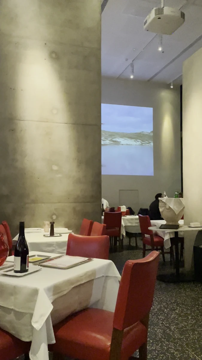Vibe, Di Stasio Citta