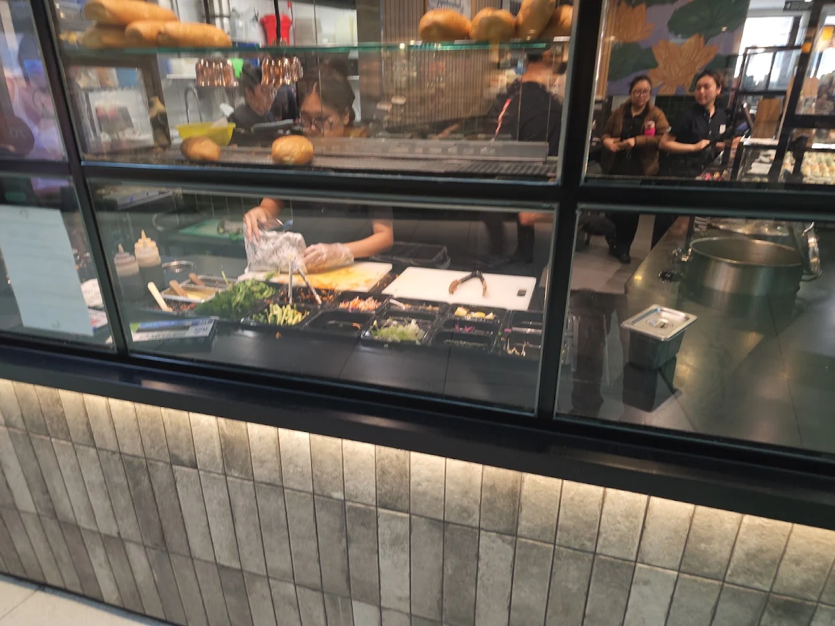 Vibe, Roll'd Spencer Outlet