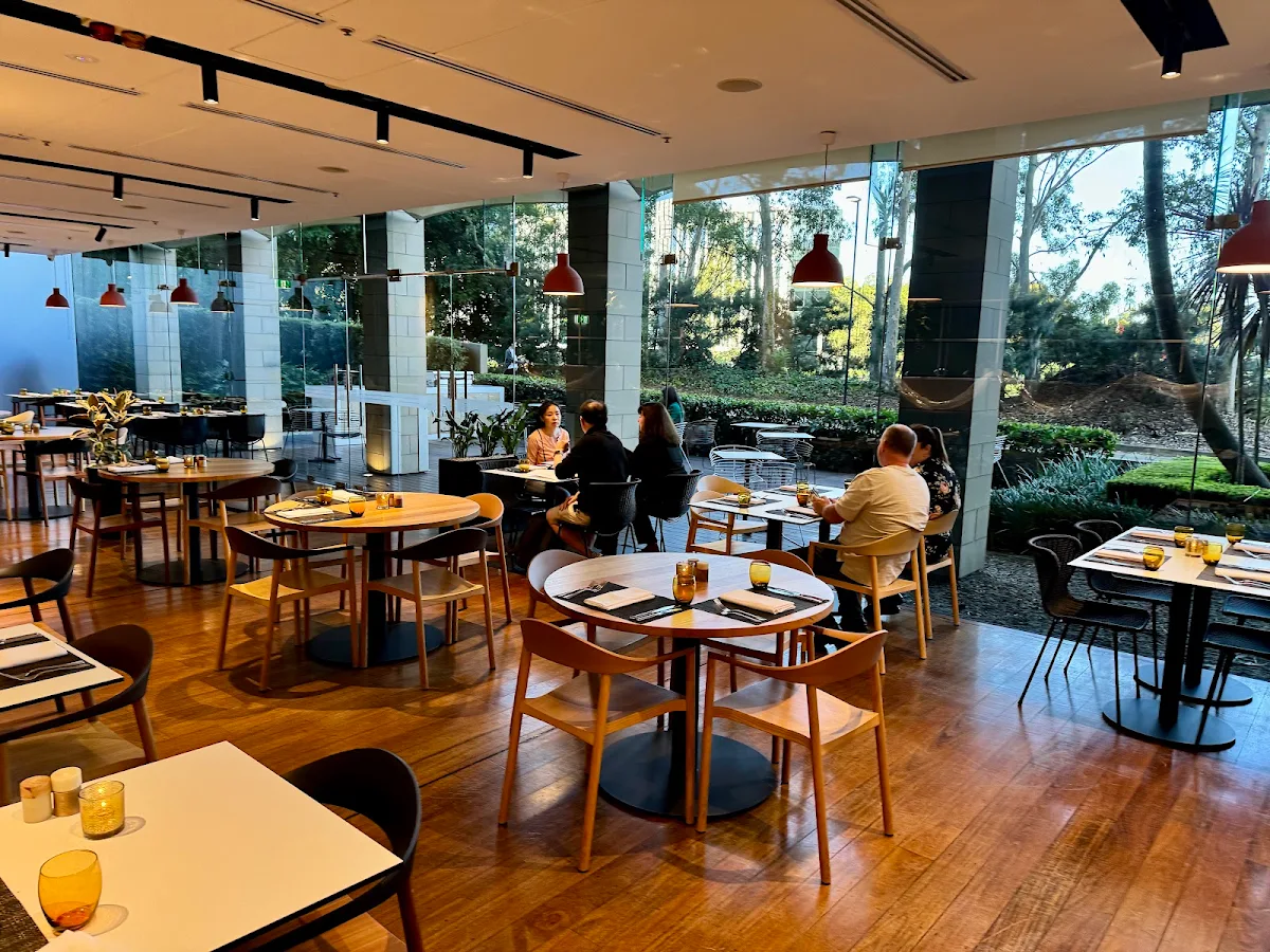 Vibe, Bistro Sydney