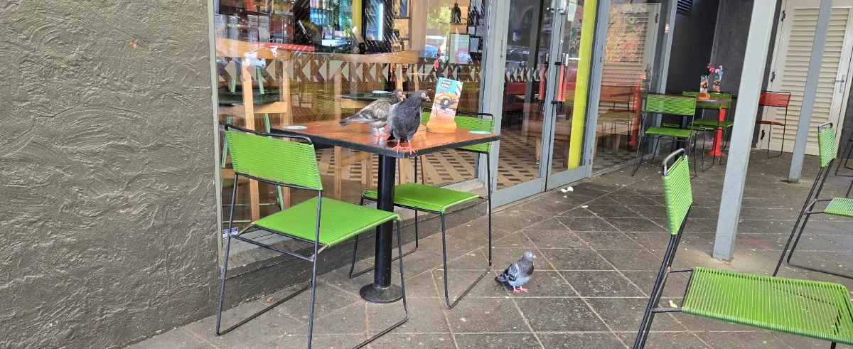 Vibe, Nando's Subiaco