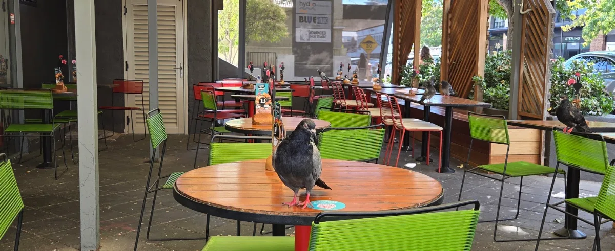 Vibe, Nando's Subiaco
