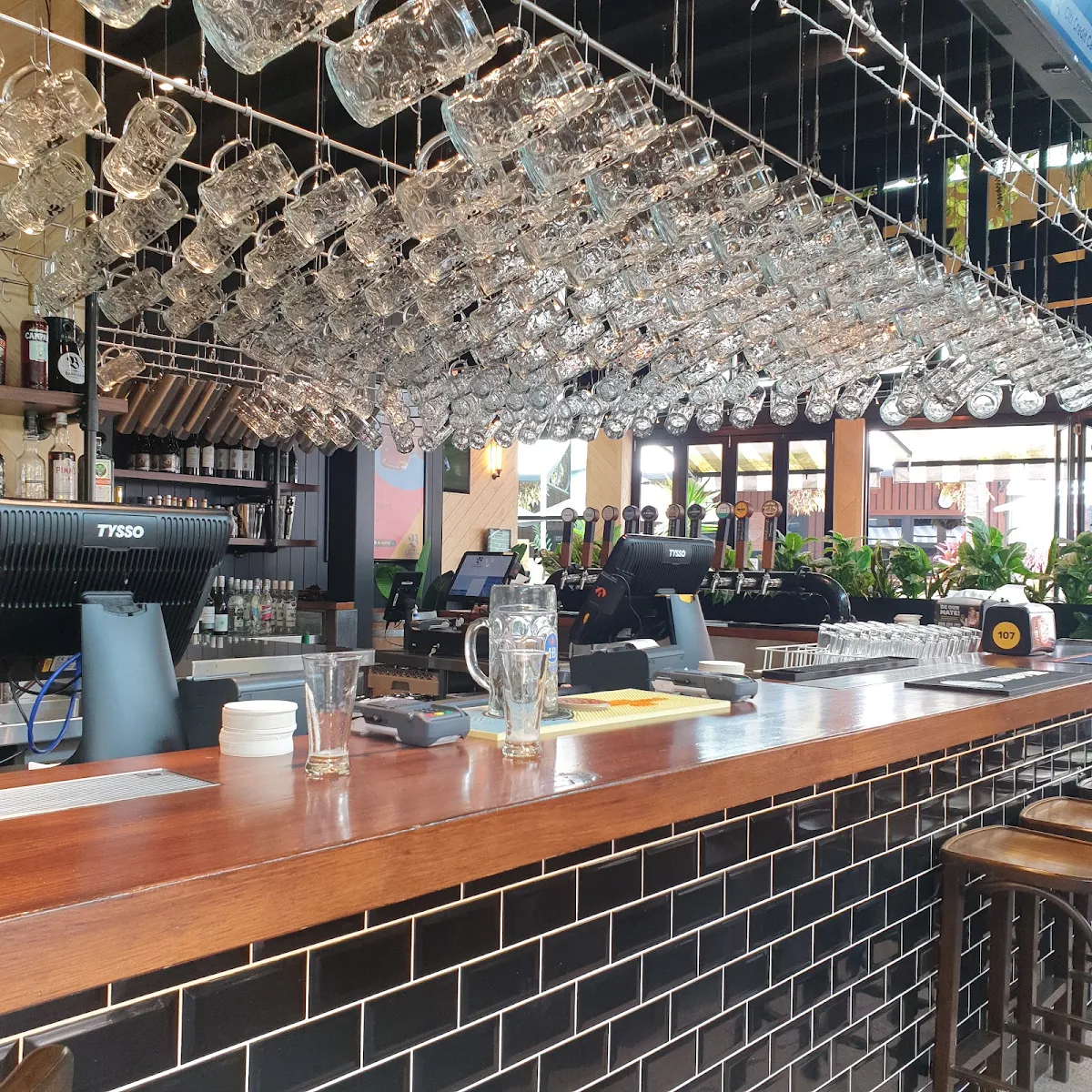 Vibe, The Bavarian Tuggerah