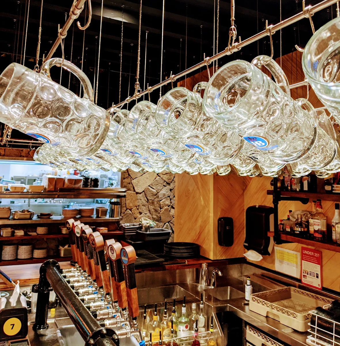 Vibe, The Bavarian Tuggerah