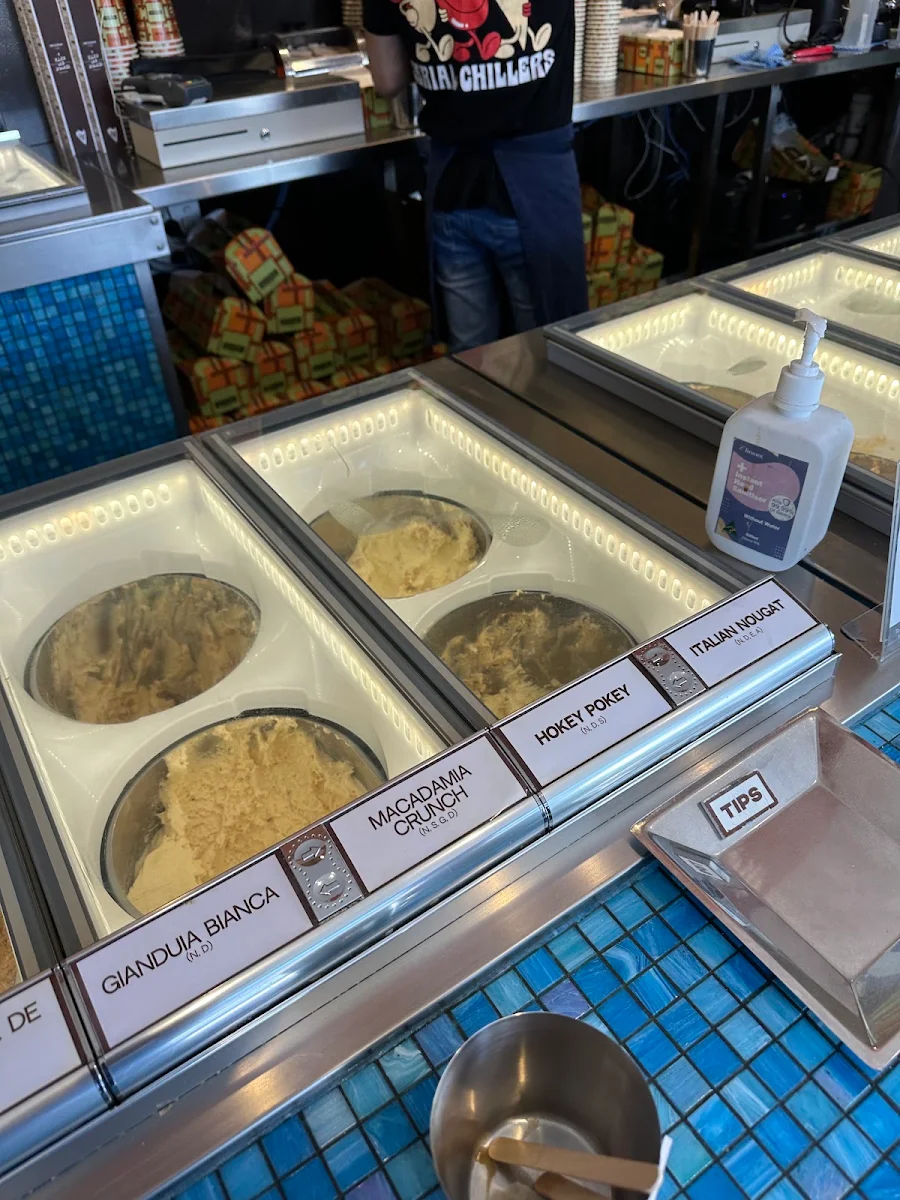 Vibe, Gelato Messina Bondi