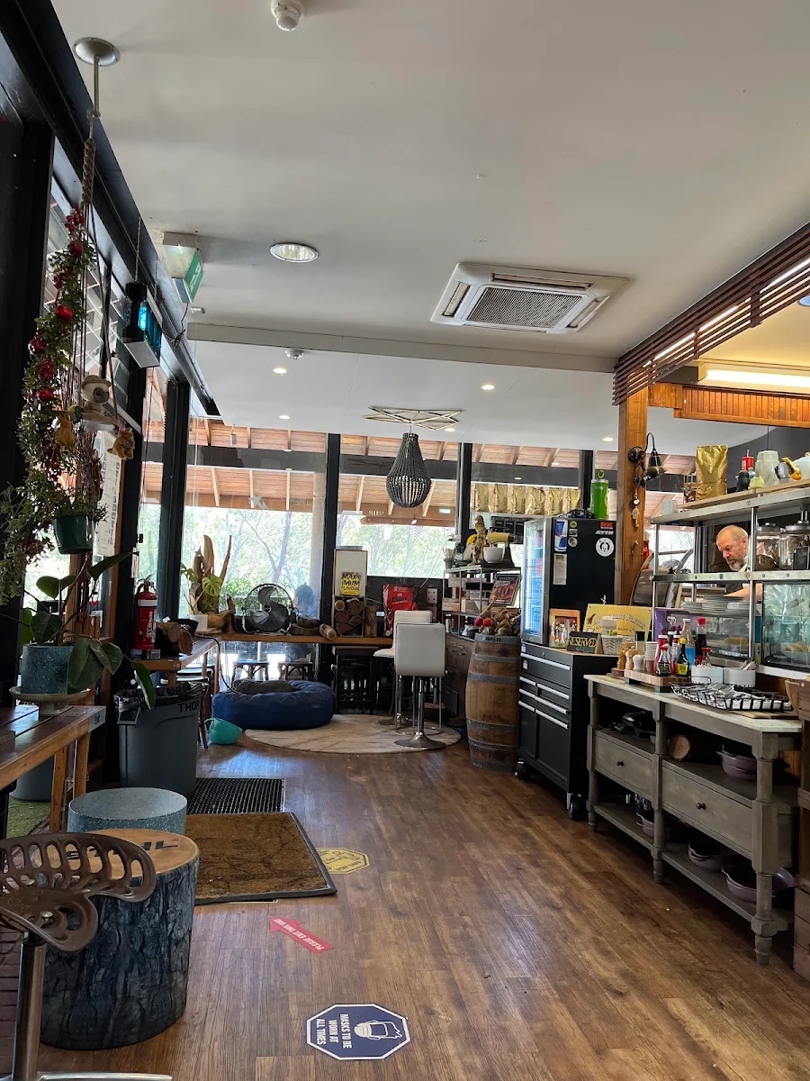 Vibe, Lumbar & Co