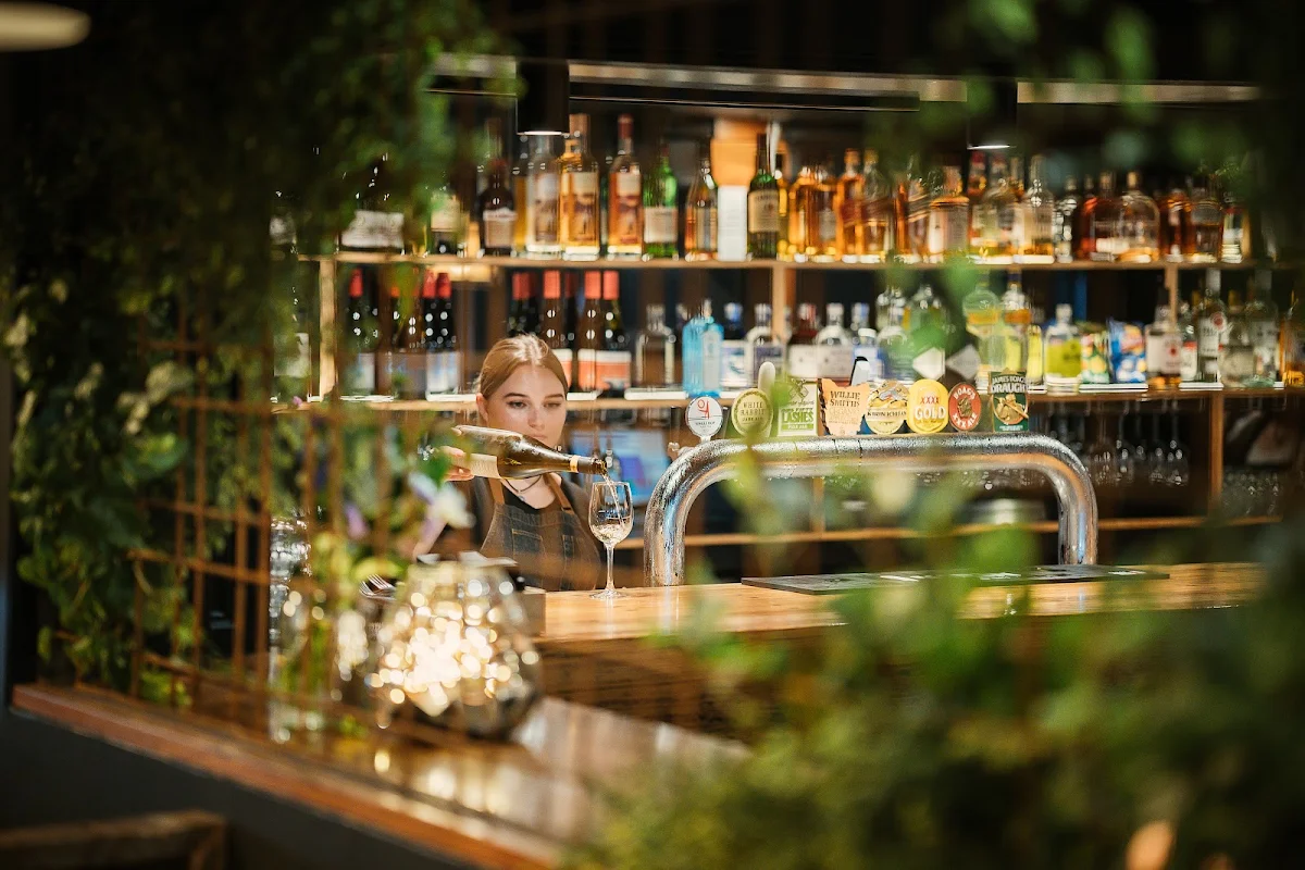 Vibe, Titanium Bar & Bistro