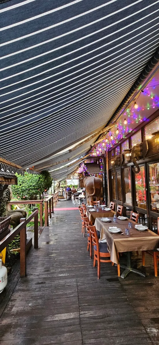 Vibe, Chiangmai Thai Broadbeach