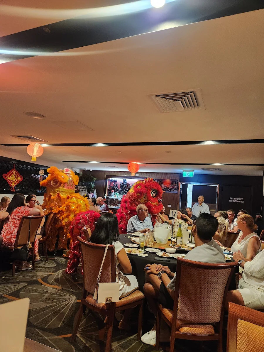 Vibe, Brothers Sports Club Bundaberg