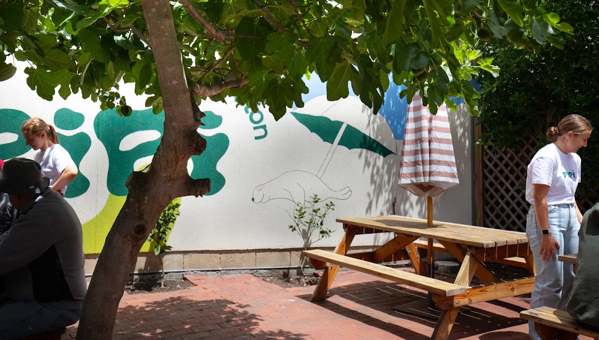 Pipi Middleton - Pipi Eatery & Pipi Stays cover