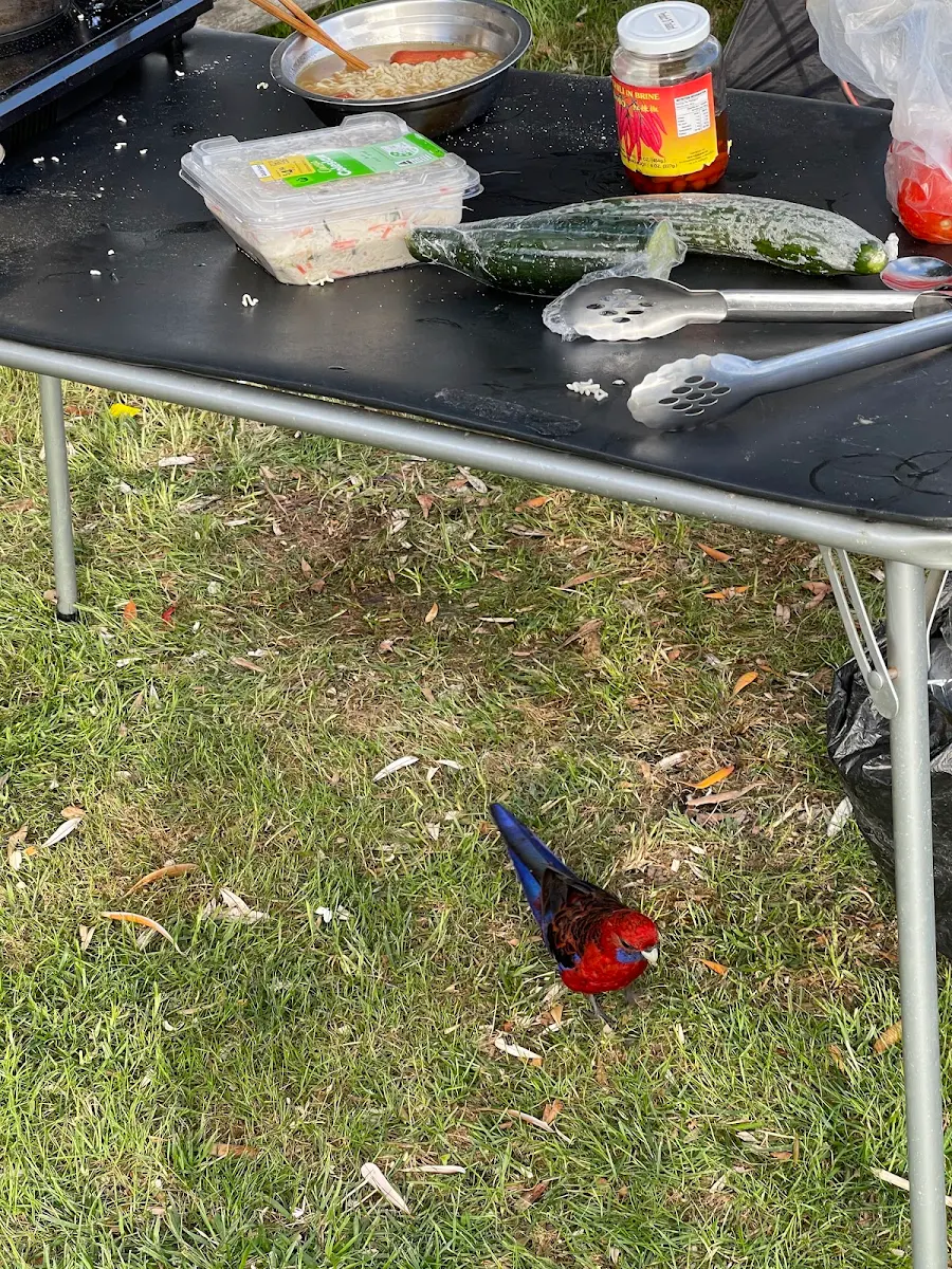 Food & drink, Walkerville Foreshore Camping Reserve