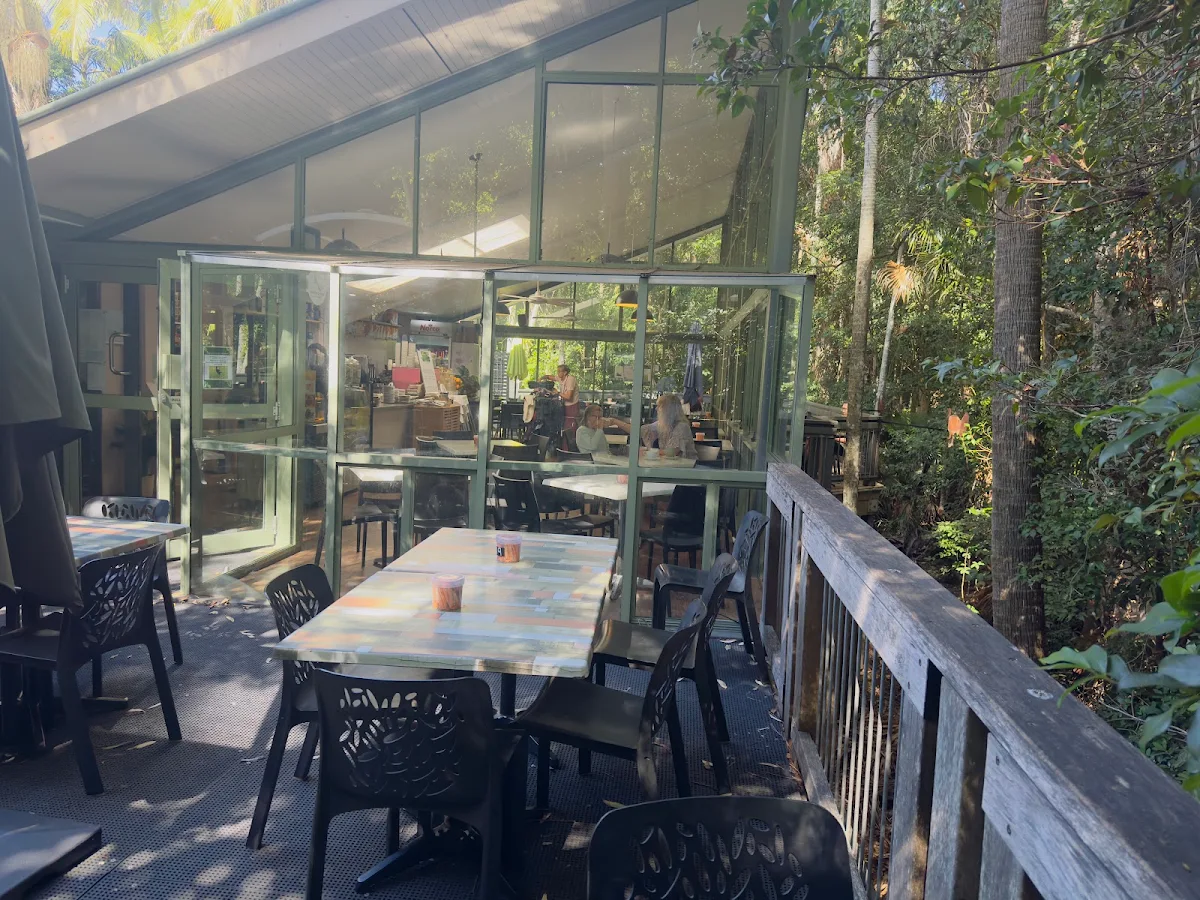 Vibe, The Rainforest Cafe Port Macquarie