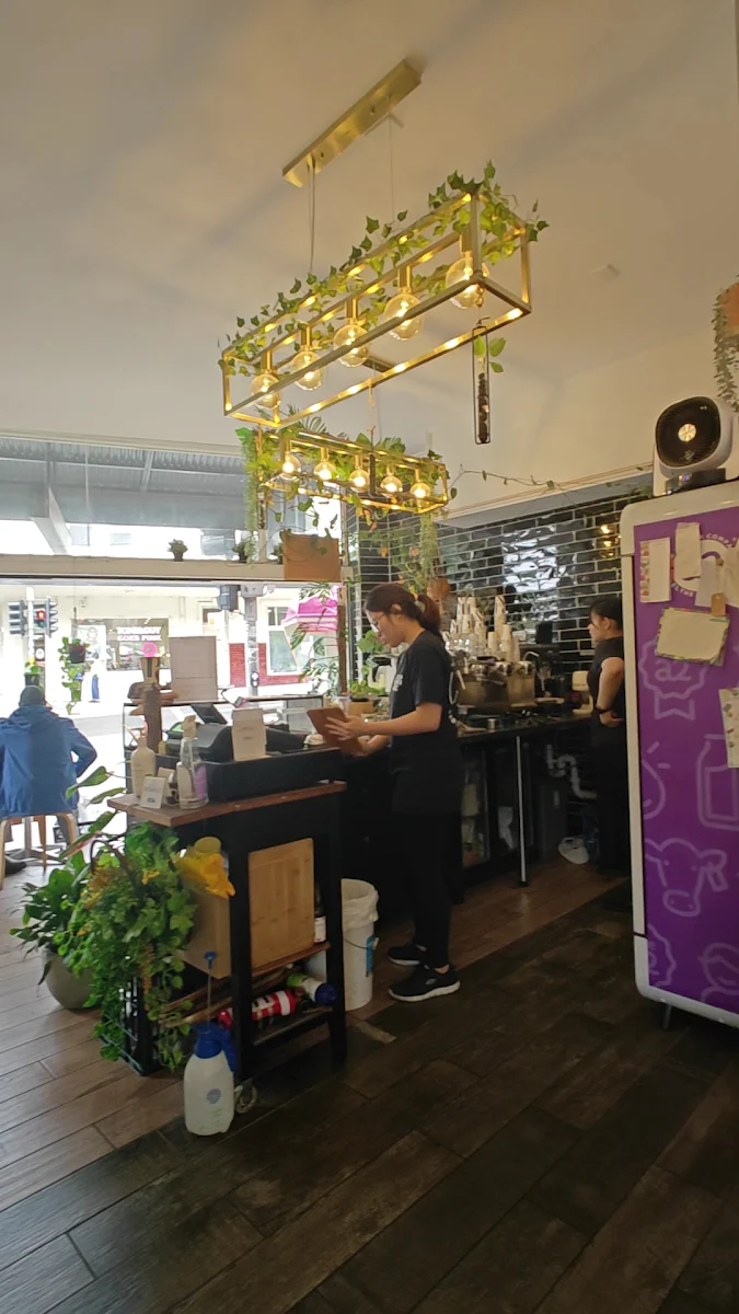 Vibe, The Foliage Cafe