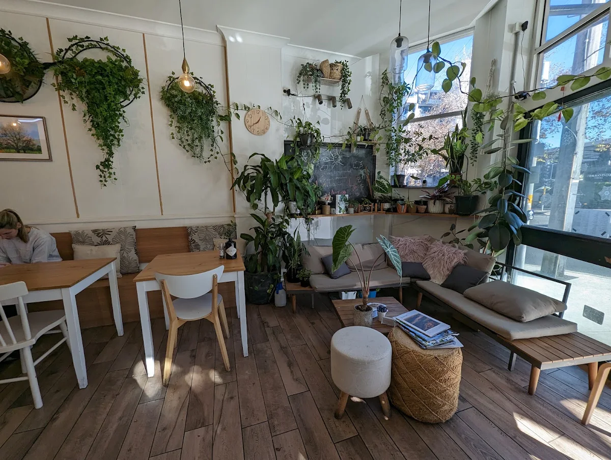 Vibe, The Foliage Cafe