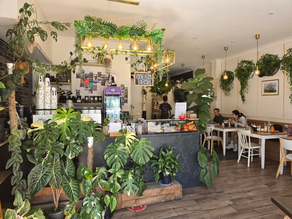 Vibe, The Foliage Cafe