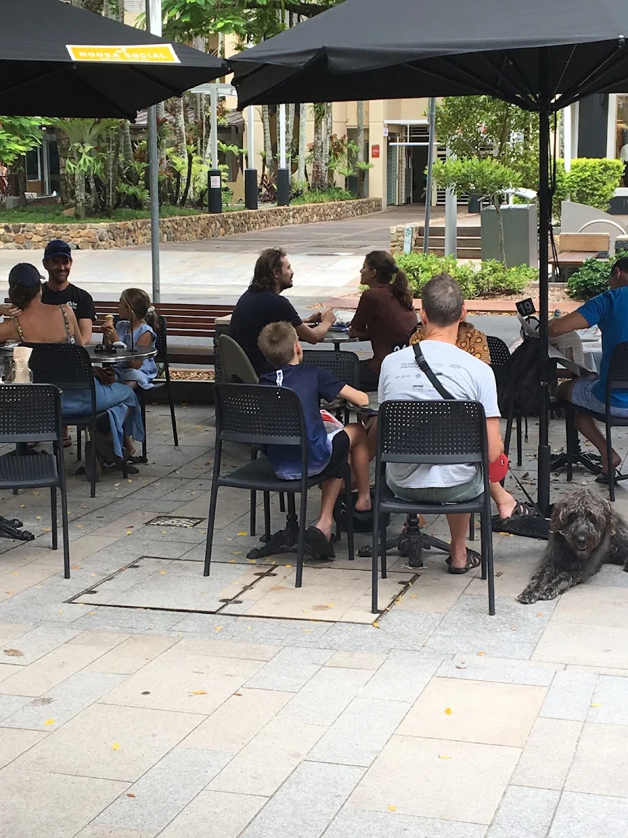 Vibe, Noosa Social Espresso & Wine Bar