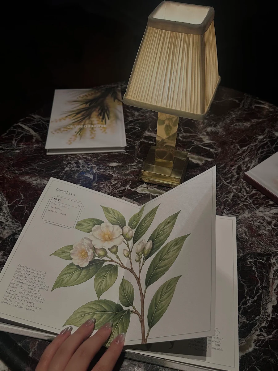 Menu, Bar Ferdinand
