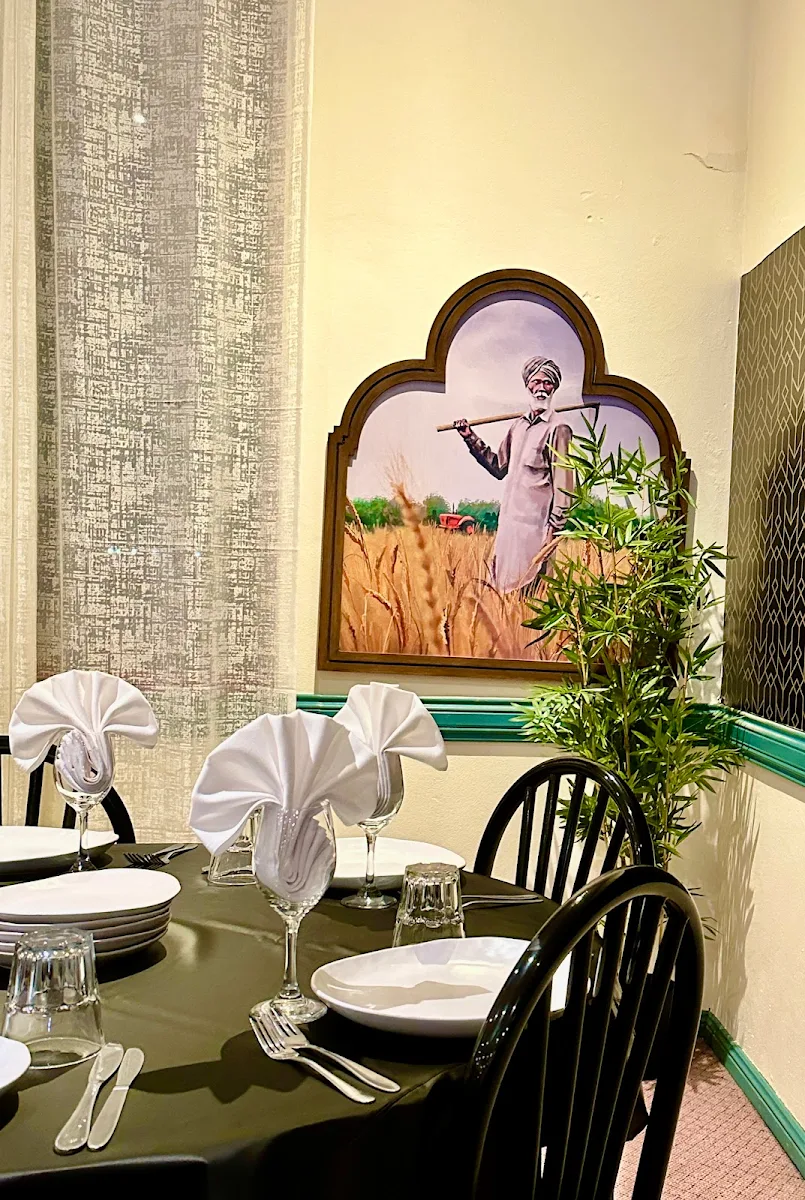 Vibe, Punjab Pavilion Indian Restaurant