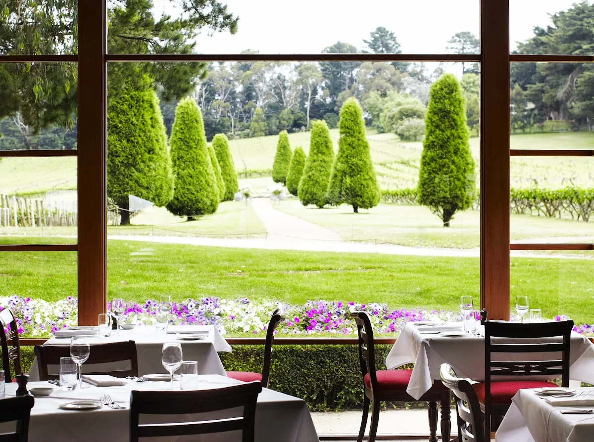 Vibe, The Dining Room